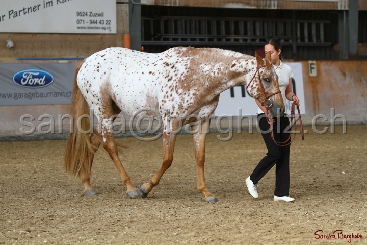 24-ApHC HIH_050.jpg